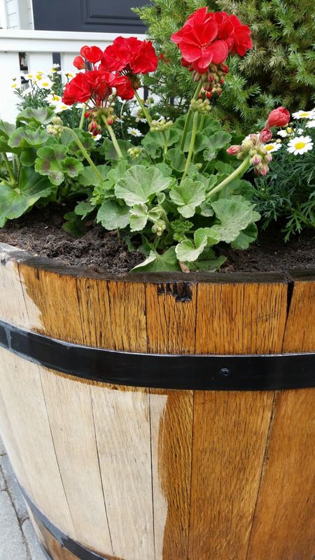 Rå linolje Engwall o. Claesson