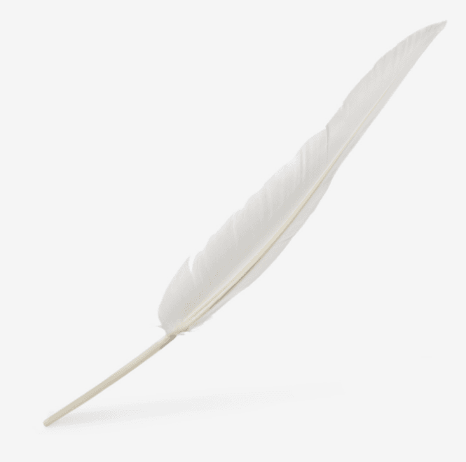 Hovedbilde Vingefjær av gås til marmorering 